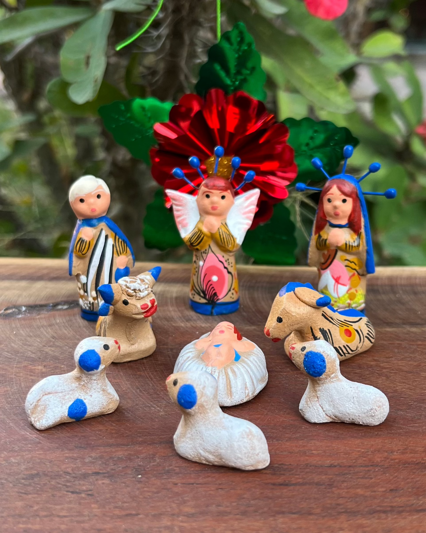 Nacimiento J. #0 Azul