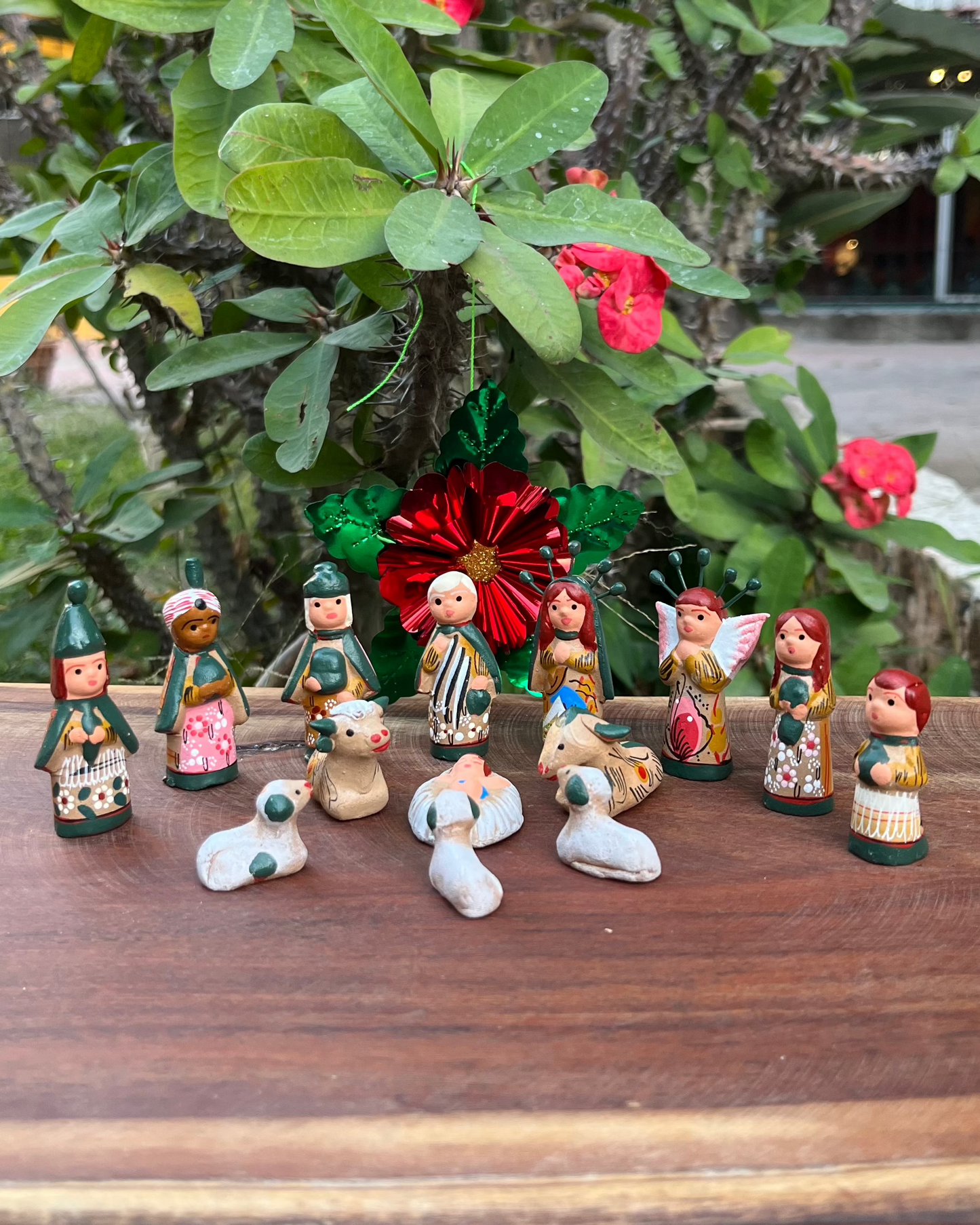 Nacimiento J. #0 Verde