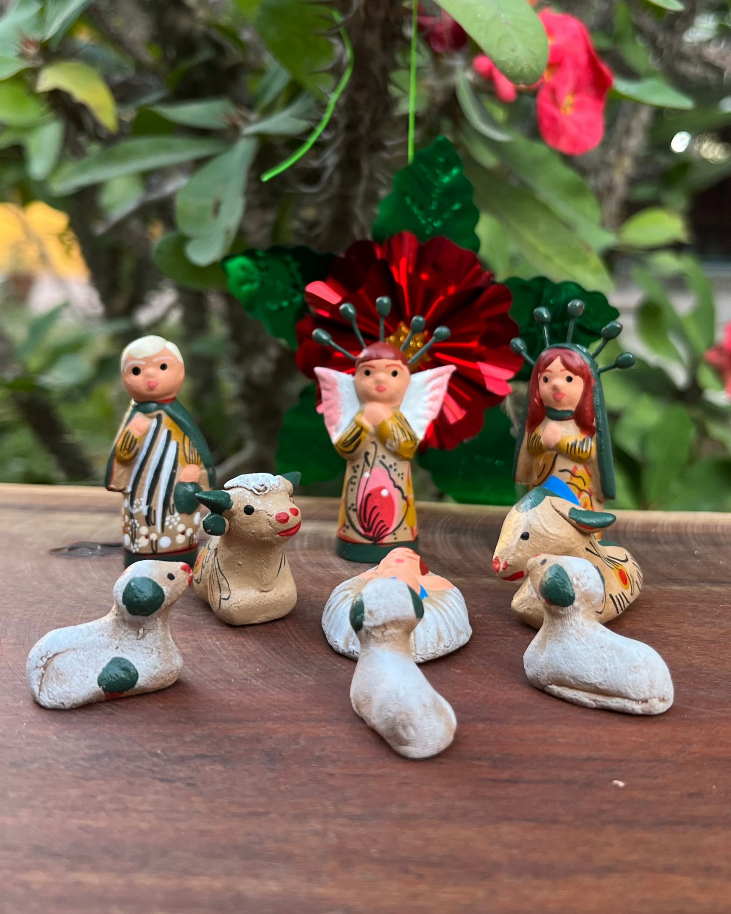 Nacimiento J. #0 Verde