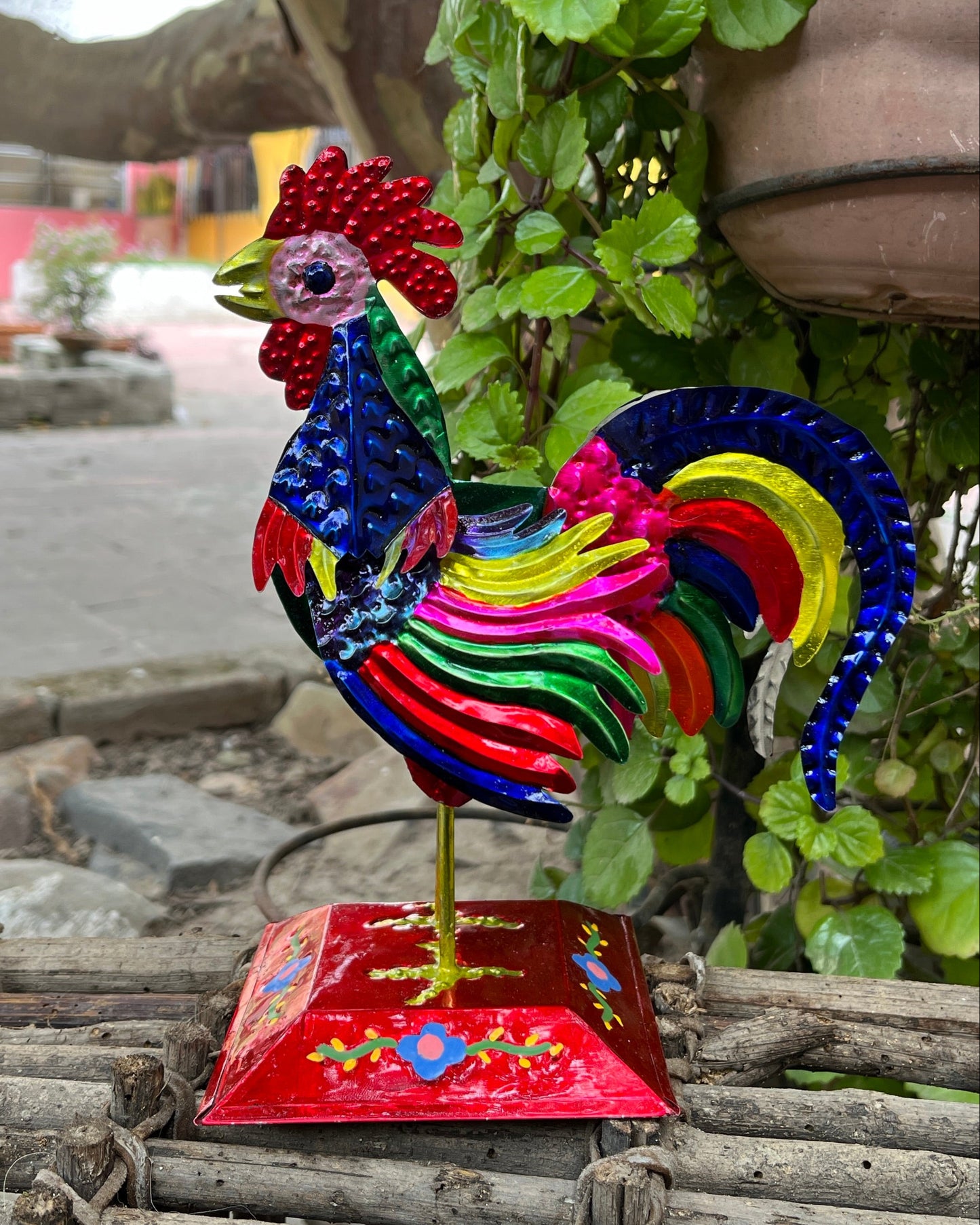 Gallo Mediano S.T.