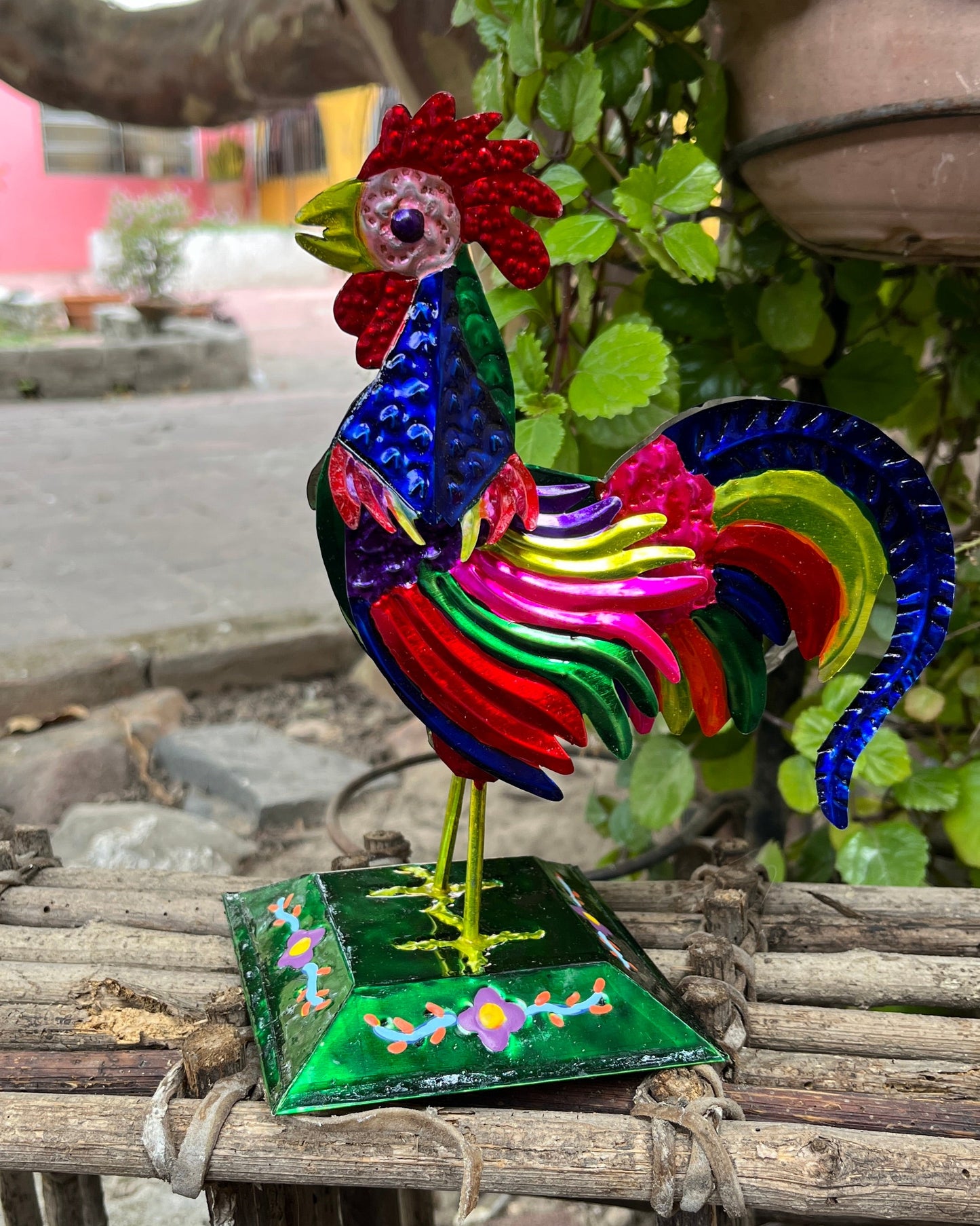 Gallo Mediano S.T.