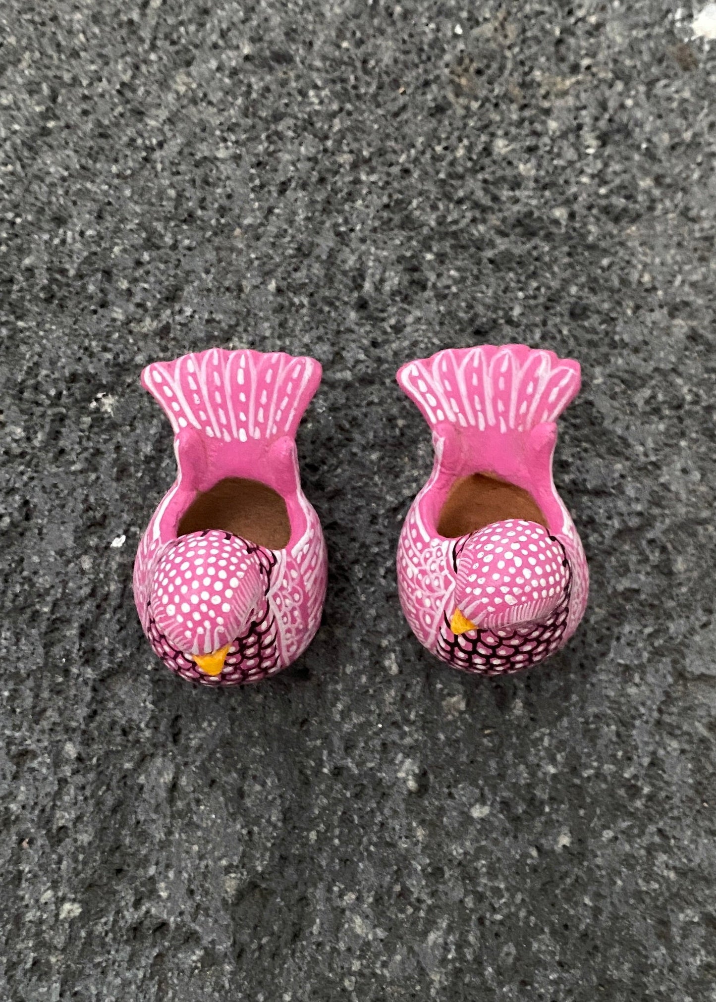 Paloma Barro Par Chiapas