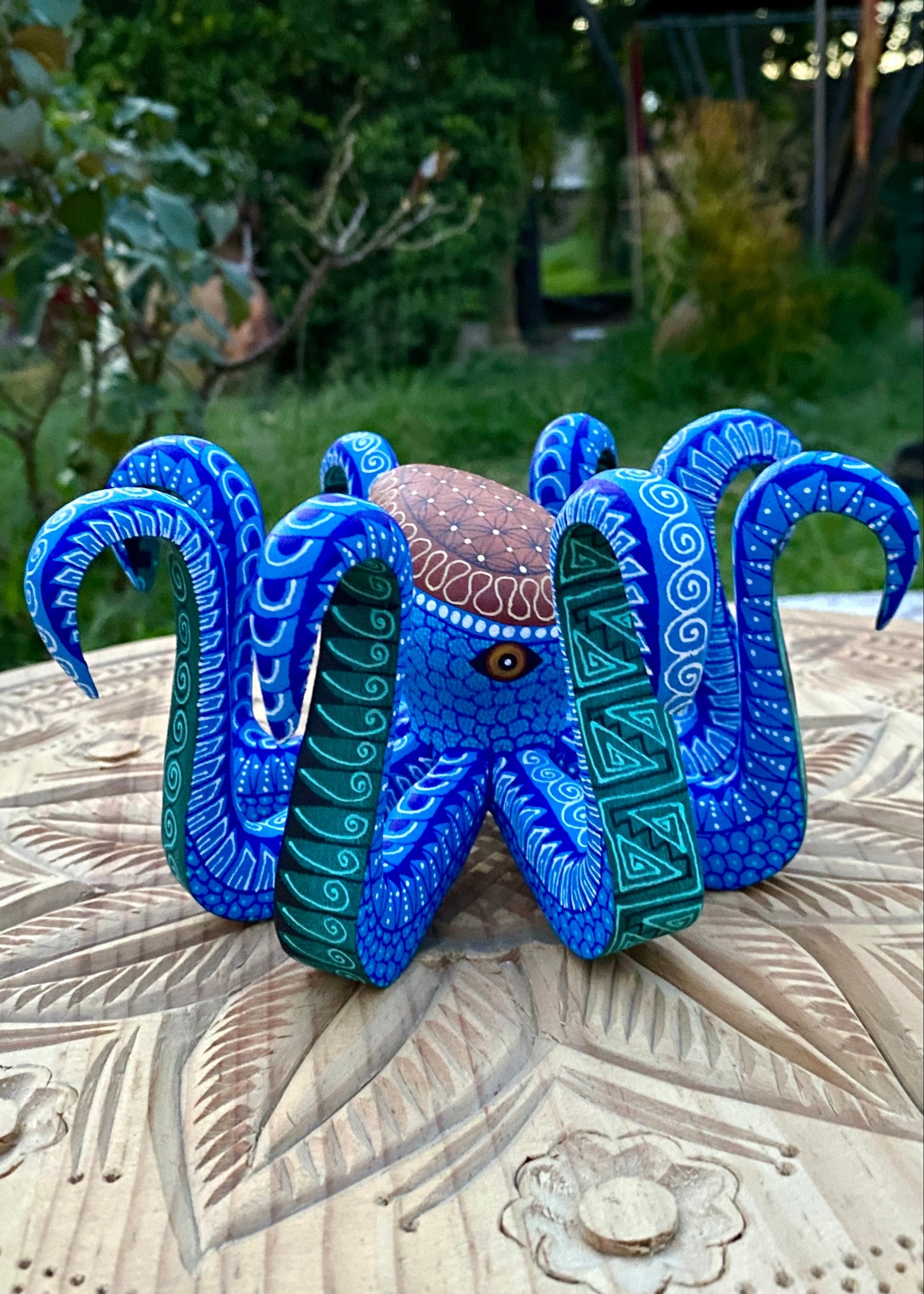 Pulpo Azul CM