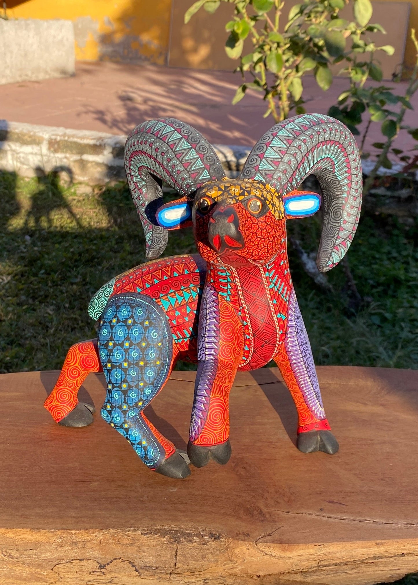 Albrije Cimarrón Rojo