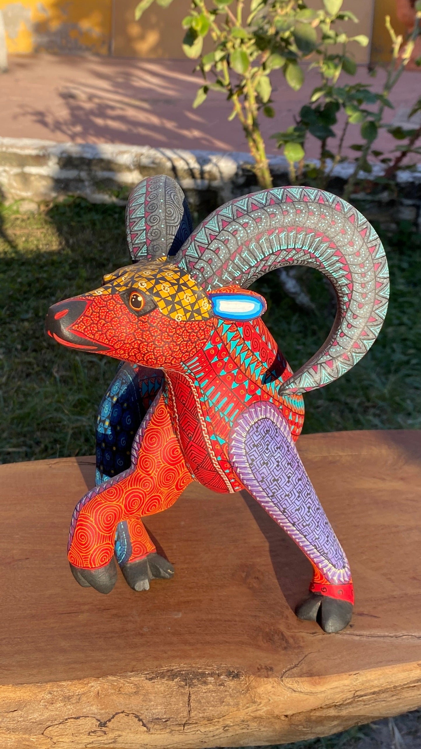 Albrije Cimarrón Rojo