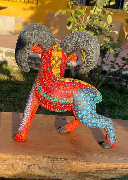 Albrije Cimarrón Rojo