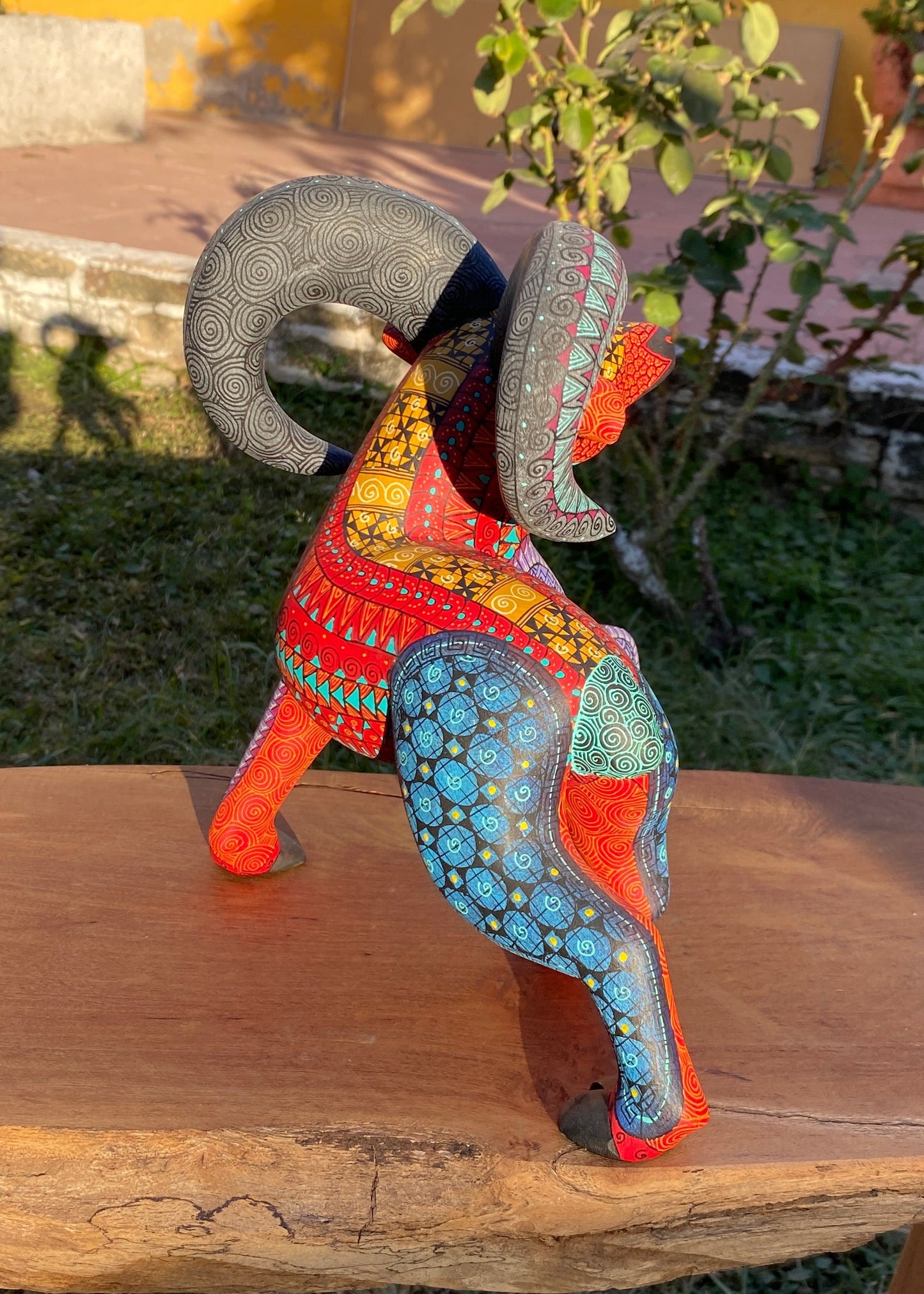 Albrije Cimarrón Rojo