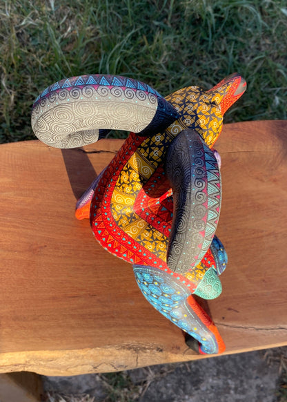 Albrije Cimarrón Rojo