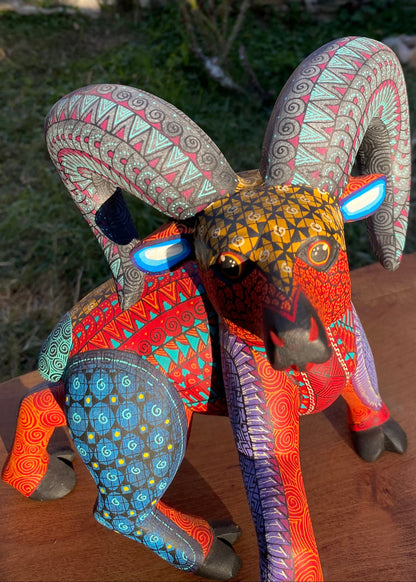 Albrije Cimarrón Rojo