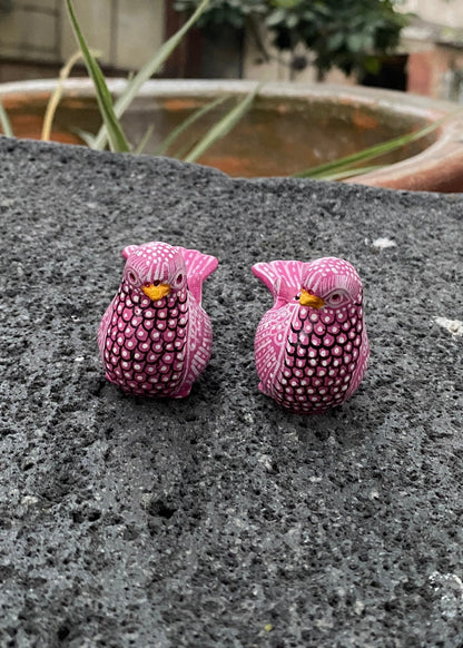 Paloma Barro Par Chiapas