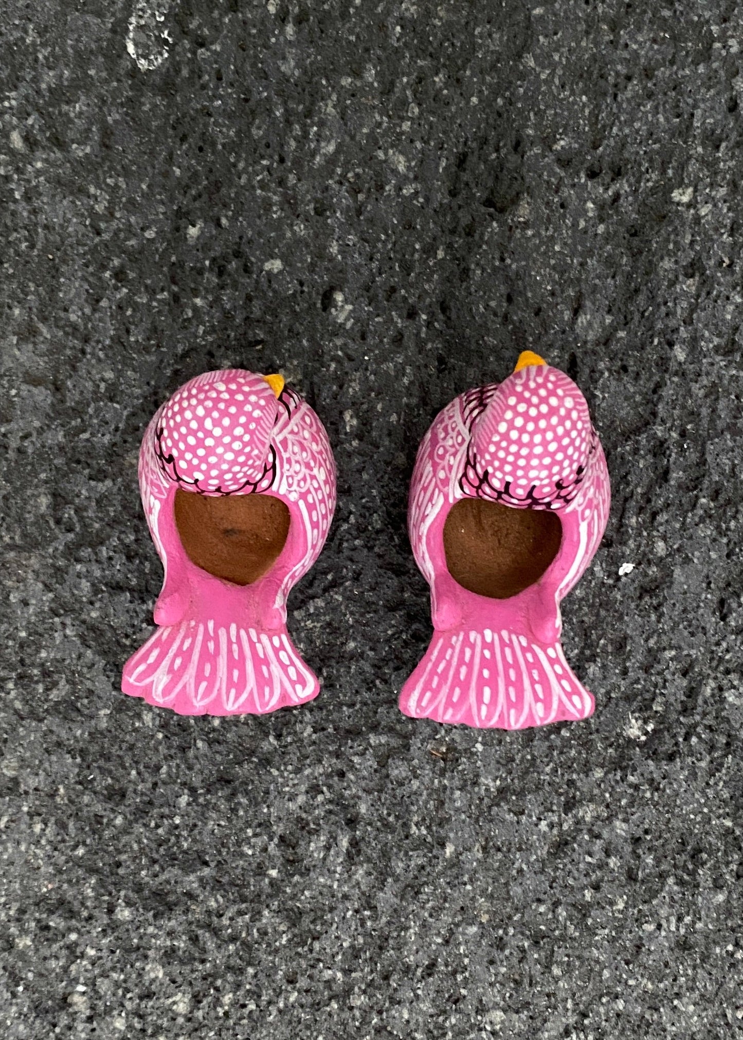 Paloma Barro Par Chiapas