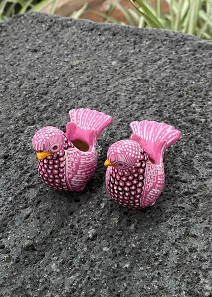 Paloma Barro Par Chiapas