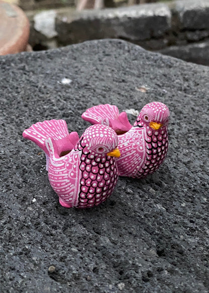 Paloma Barro Par Chiapas