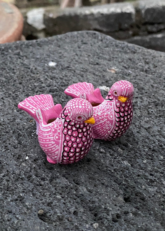 Paloma Barro Par Chiapas