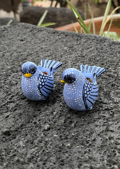 Paloma  Barro Par Chiapas