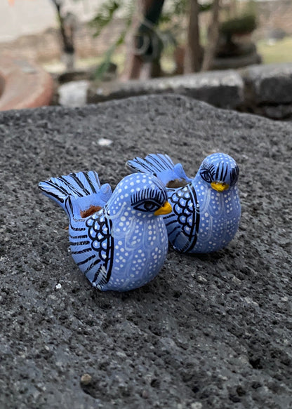 Paloma  Barro Par Chiapas