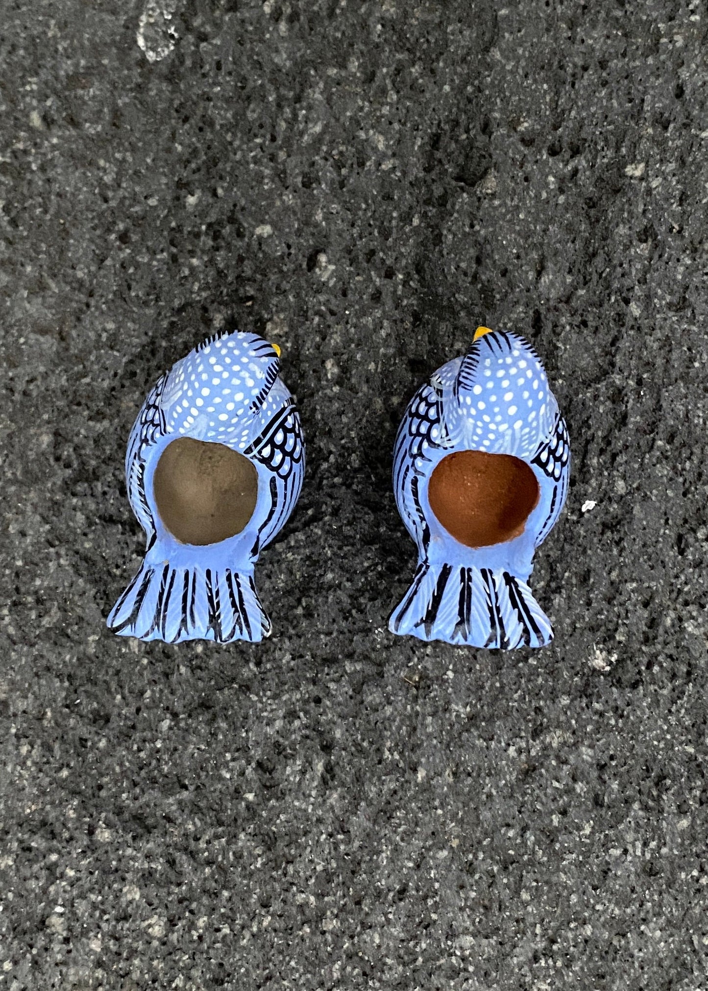 Paloma  Barro Par Chiapas