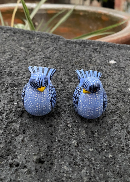 Paloma  Barro Par Chiapas