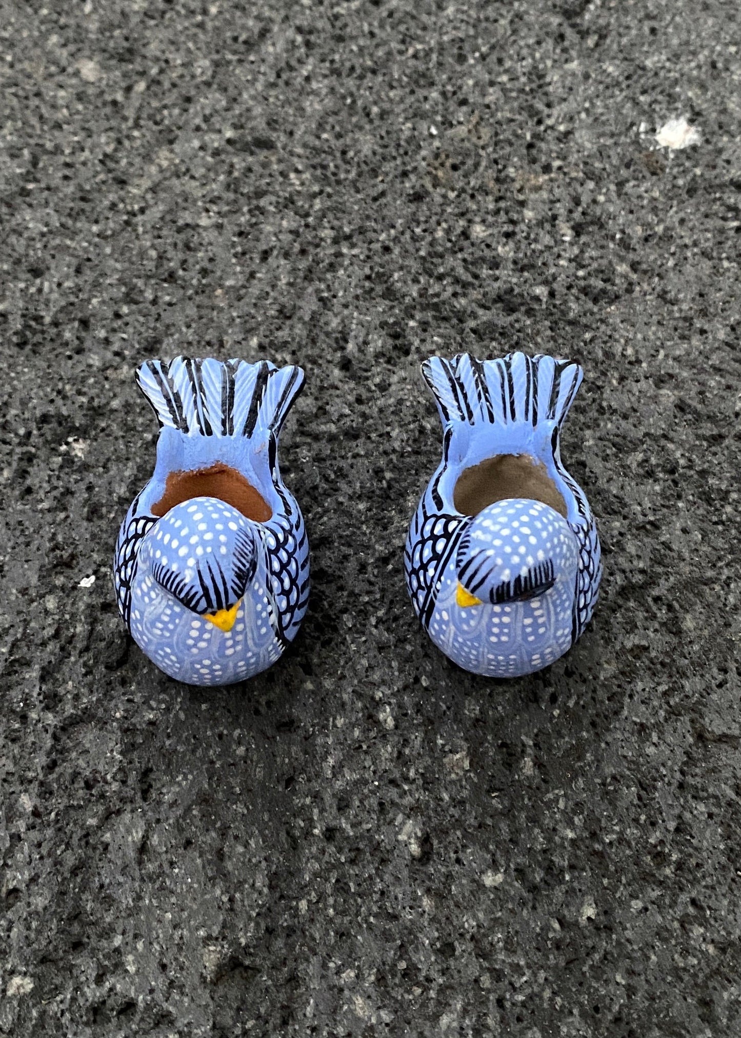 Paloma  Barro Par Chiapas