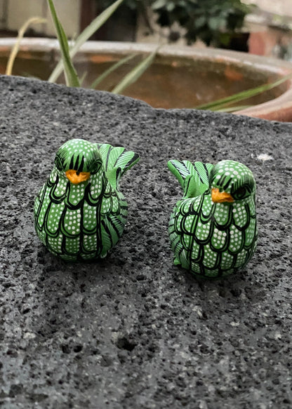 Paloma Barro Par Chiapas