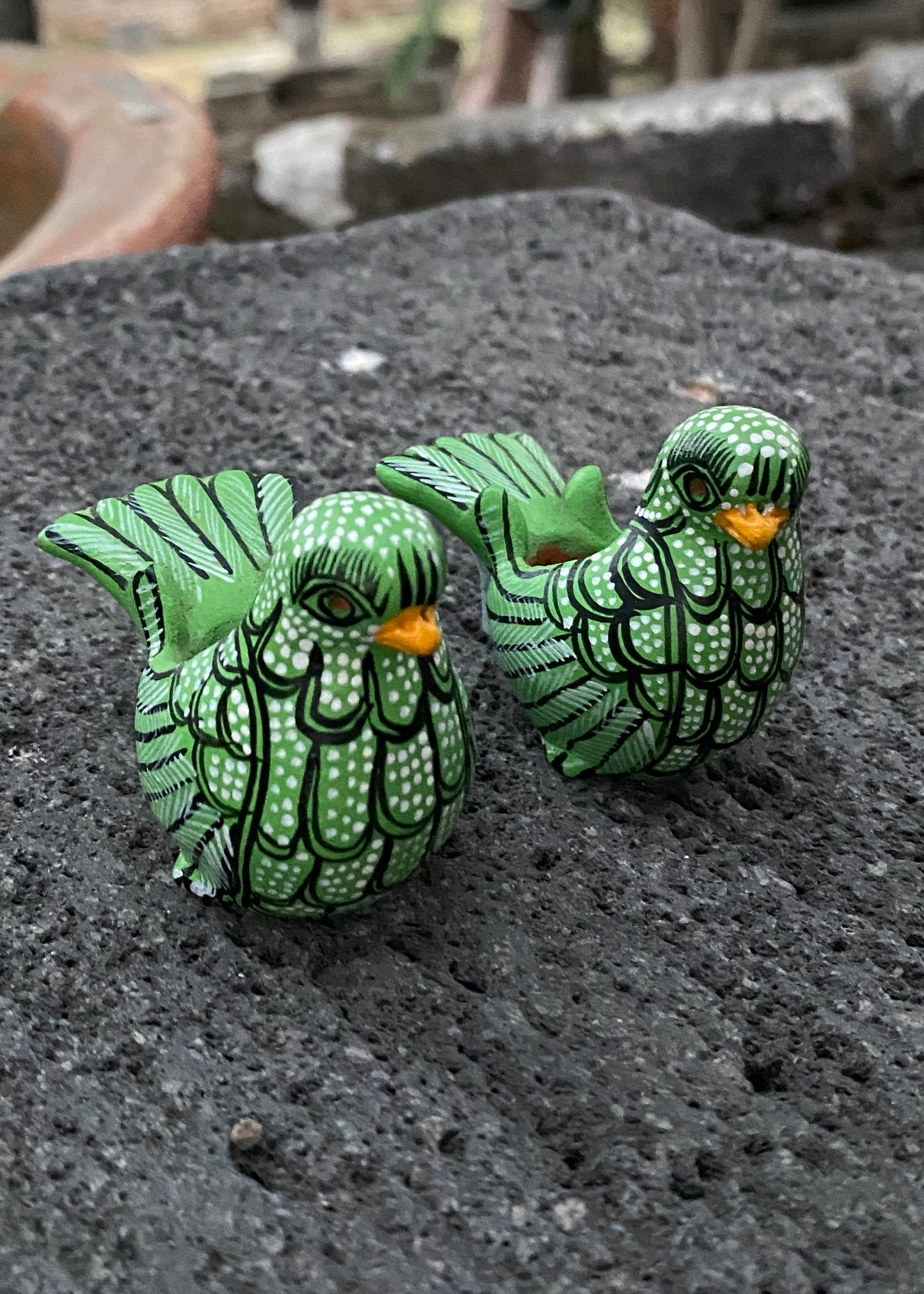 Paloma Barro Par Chiapas