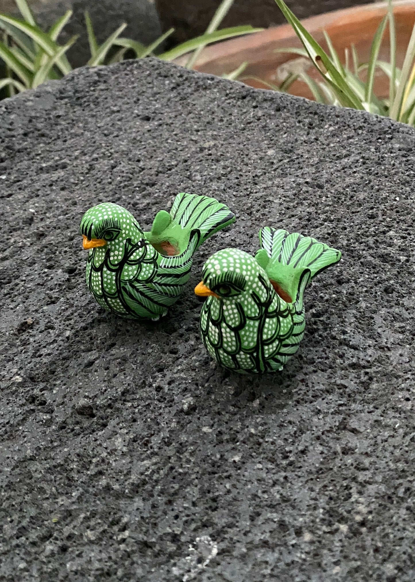 Paloma Barro Par Chiapas