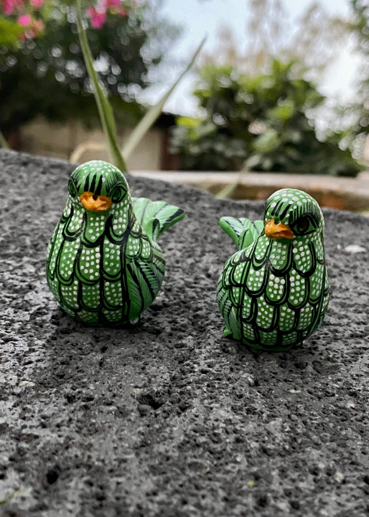 Paloma Barro Par Chiapas