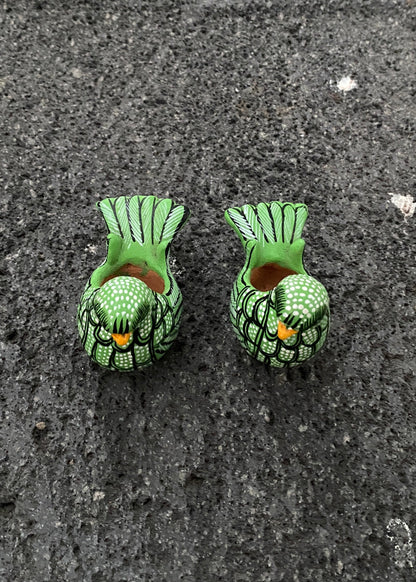 Paloma Barro Par Chiapas