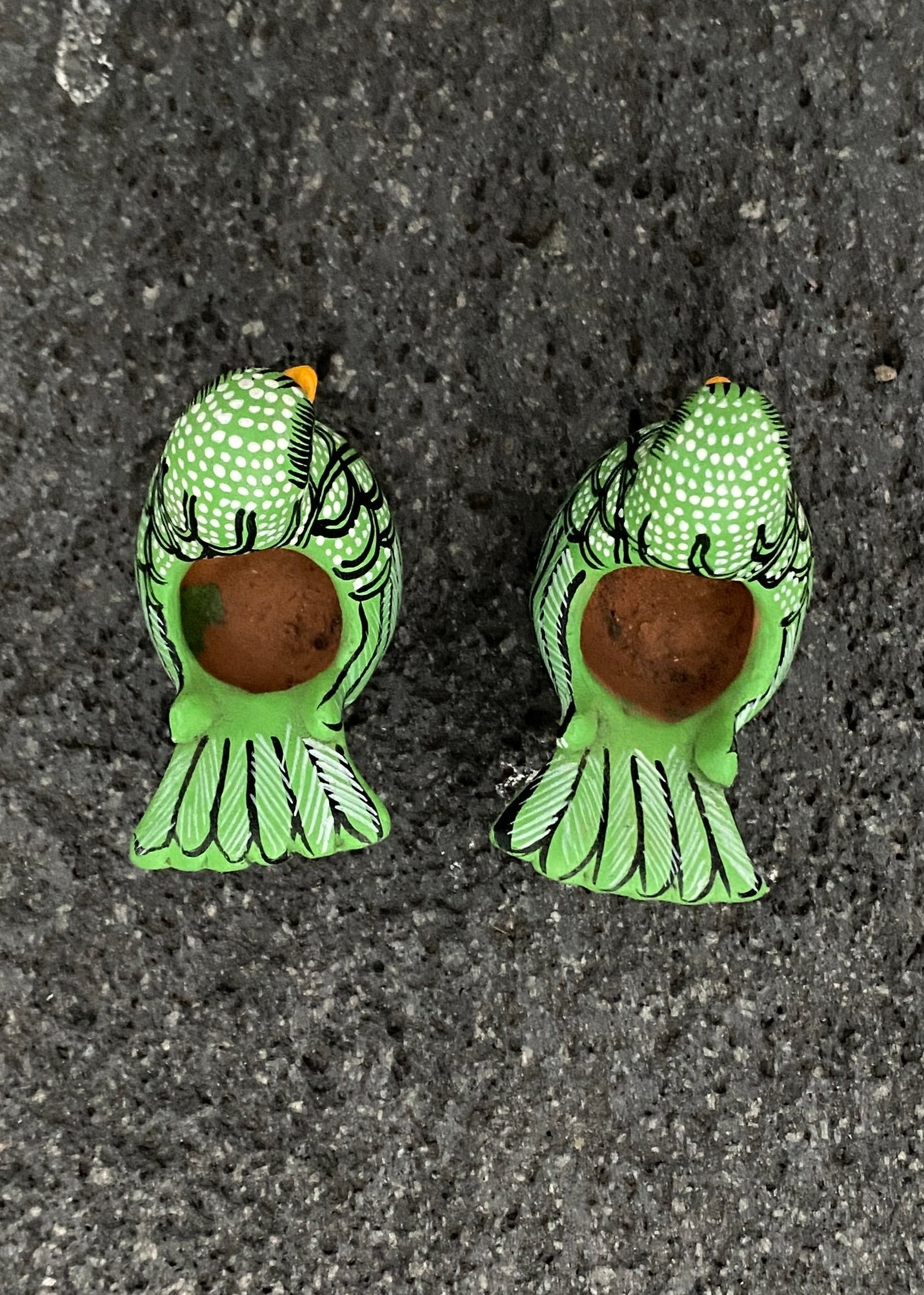 Paloma Barro Par Chiapas