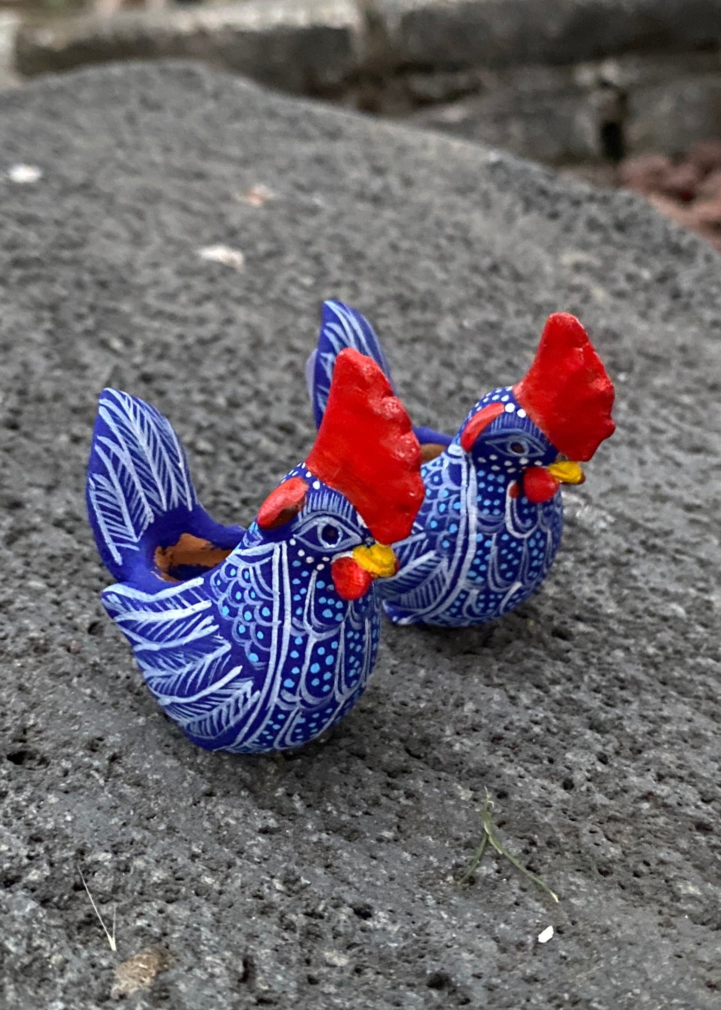 Gallo Par Chiapas azul Rey